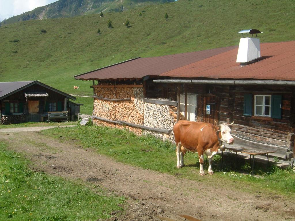 Haus Bruegglbach Kirchberg in Tirol Exterior foto