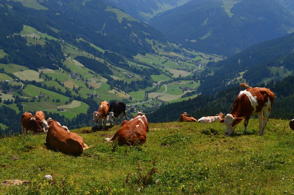 Haus Bruegglbach Kirchberg in Tirol Exterior foto